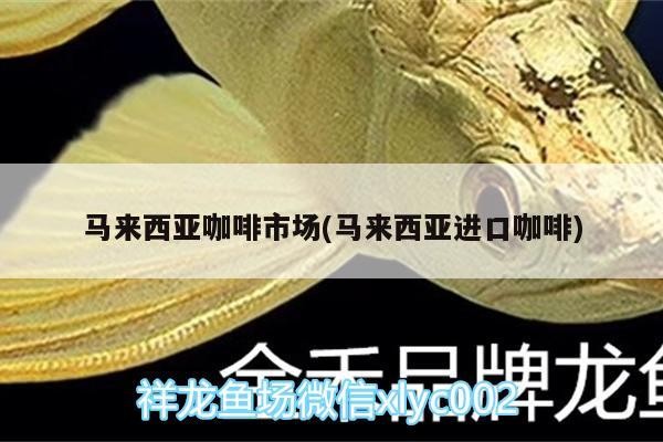 馬來西亞咖啡市場(chǎng)(馬來西亞進(jìn)口咖啡)