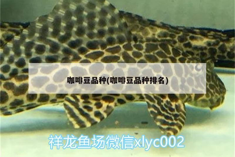 魚缸用增氧泵價格是多少:魚缸增氧機-xtrac增氧機-xtrac增氧機 咖啡豆品種(咖啡豆品種排名) 馬來西亞咖啡 咖啡豆品種(咖啡豆品種排名) 咖啡豆品種(咖啡豆品種排名) 馬來西亞咖啡