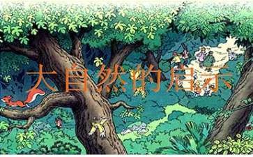 好養(yǎng)的魚觀賞魚：好養(yǎng)的魚觀賞魚不怕冷不怕熱