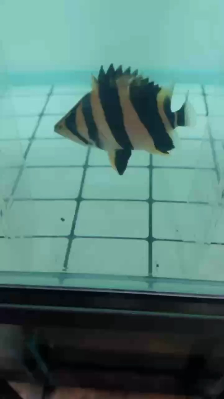 分享一下