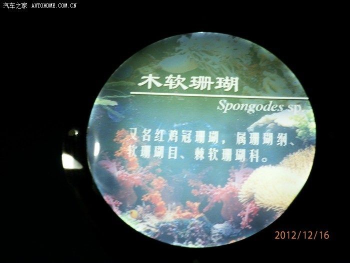 淄博水族館vs祥龍魚場（探討淄博水族館與祥龍魚場之間的差異時，我們需要明確兩者的業務和特點）