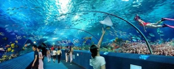 十堰水族館vs祥龍魚場（十堰水族館與祥龍魚場有什么區別？） 十堰水族館vs祥龍魚場（十堰水族館與祥龍魚場有什么區別？） 全國水族館企業名錄 第3張