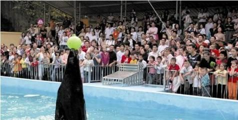 十堰水族館vs祥龍魚場（十堰水族館與祥龍魚場有什么區別？） 十堰水族館vs祥龍魚場（十堰水族館與祥龍魚場有什么區別？） 全國水族館企業名錄 第4張