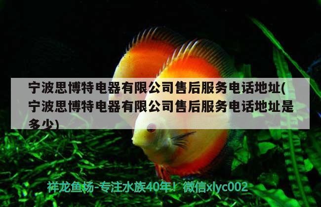 寧波思博特電器有限公司售后服務(wù)電話地址(寧波思博特電器有限公司售后服務(wù)電話地址是多少)