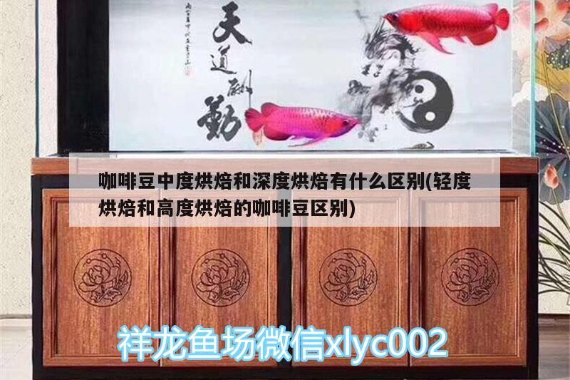 咖啡豆中度烘焙和深度烘焙有什么區(qū)別(輕度烘焙和高度烘焙的咖啡豆區(qū)別) 咖啡豆中度烘焙和深度烘焙有什么區(qū)別(輕度烘焙和高度烘焙的咖啡豆區(qū)別) 馬來西亞咖啡