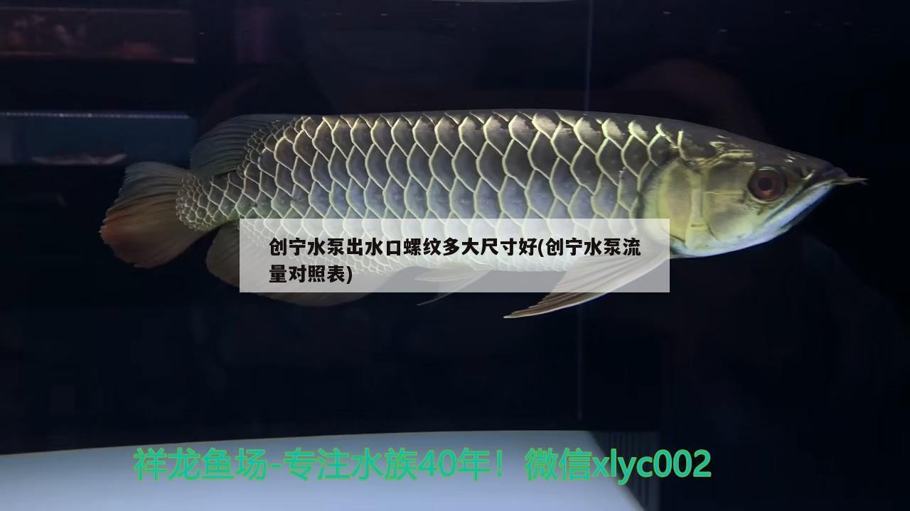 創寧水泵出水口螺紋多大尺寸好(創寧水泵流量對照表)
