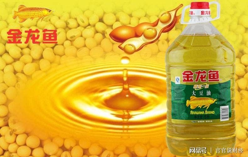 金龍魚為什么會漲
