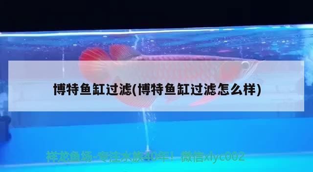 博特魚缸過濾(博特魚缸過濾怎么樣)