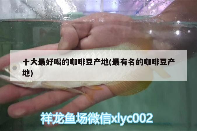 十大最好喝的咖啡豆產地(最有名的咖啡豆產地) 十大最好喝的咖啡豆產地(最有名的咖啡豆產地) 馬來西亞咖啡