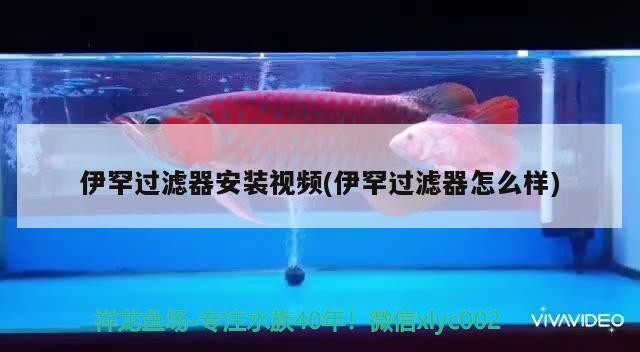 伊罕過濾器安裝視頻(伊罕過濾器怎么樣) 伊罕過濾器安裝視頻(伊罕過濾器怎么樣) 伊罕水族