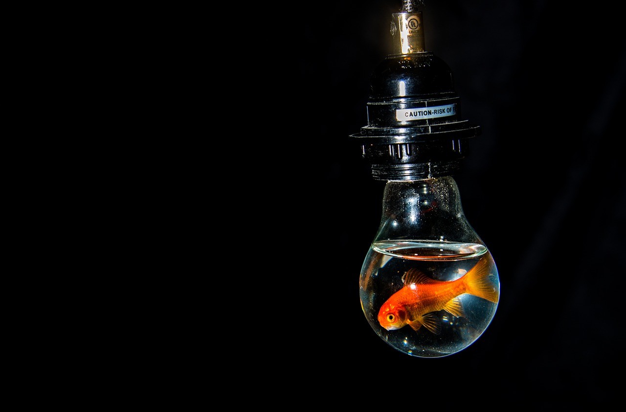 紅龍魚(yú)用黃燈烤有用嗎 老魚(yú)匠龍魚(yú)燈怎么樣,老漁匠魚(yú)缸燈怎么樣 老魚(yú)匠 老魚(yú)匠龍魚(yú)燈怎么樣,老漁匠魚(yú)缸燈怎么樣 老魚(yú)匠龍魚(yú)燈怎么樣,老漁匠魚(yú)缸燈怎么樣 老魚(yú)匠