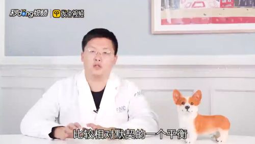 豬鼻龜能跟哪種龜混養：豬鼻龜與其他龜類混養需要注意什么，豬鼻龜混養需要注意什么