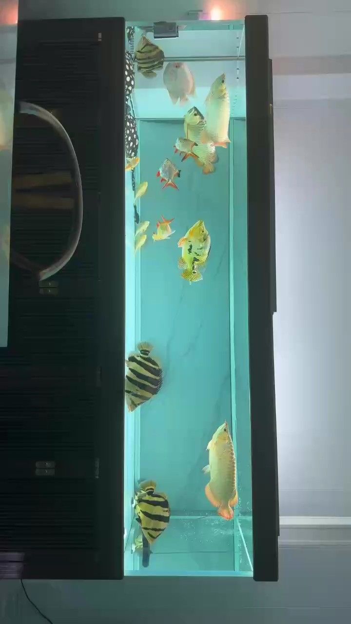 好久沒有更新了！