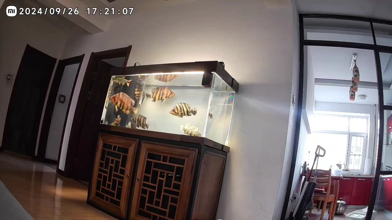 明虎小技巧