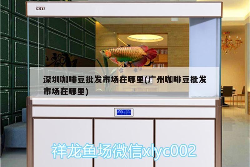 深圳咖啡豆批發市場在哪里(廣州咖啡豆批發市場在哪里)