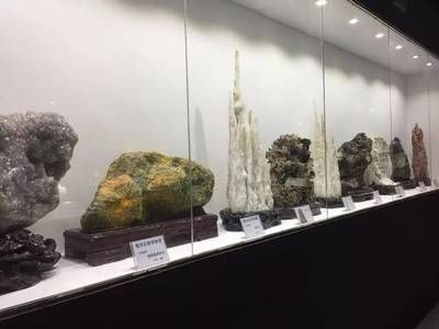 河源龍魚vs祥龍魚場（河源龍魚與祥龍魚場的區(qū)別）