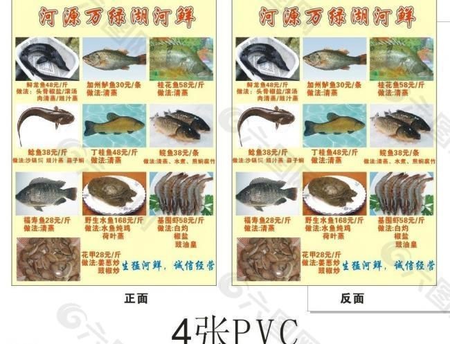 河源龍魚vs祥龍魚場（河源龍魚與祥龍魚場的區(qū)別）
