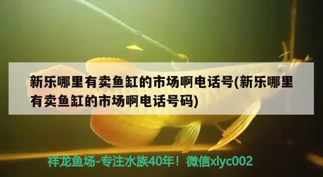新樂(lè)哪里有賣(mài)魚(yú)缸的市場(chǎng)啊電話號(hào)(新樂(lè)哪里有賣(mài)魚(yú)缸的市場(chǎng)啊電話號(hào)碼) 新樂(lè)哪里有賣(mài)魚(yú)缸的市場(chǎng)啊電話號(hào)(新樂(lè)哪里有賣(mài)魚(yú)缸的市場(chǎng)啊電話號(hào)碼) iwish愛(ài)唯希品牌魚(yú)缸