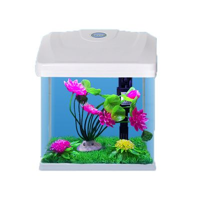 800450450的魚缸能裝多少水:800 魚缸百科 第4張 800450450的魚缸能裝多少水:800 800450450的魚缸能裝多少水:800 魚缸百科 第4張