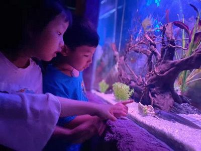眉山水族館vs祥龍魚場（探討眉山水族館與祥龍魚場之間的差異之前需要明確兩者的基本信息）