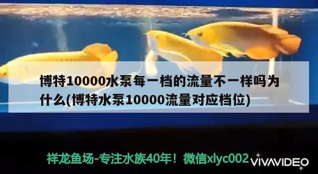 博特10000水泵每一檔的流量不一樣嗎為什么(博特水泵10000流量對應檔位)