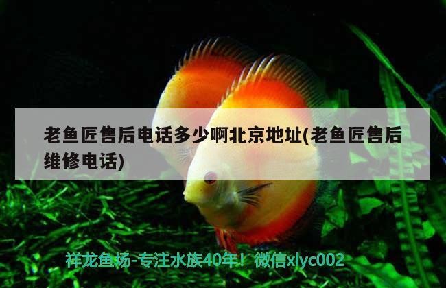 老魚匠售后電話多少啊北京地址(老魚匠售后維修電話)