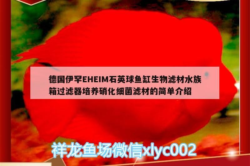 德國伊罕EHEIM石英球魚缸生物濾材水族箱過濾器培養硝化細菌濾材的簡單介紹