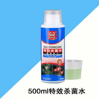 養(yǎng)龍魚(yú)放什么藥水比較好