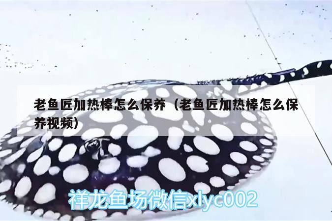 老魚匠加熱棒怎么保養(yǎng)（老魚匠加熱棒怎么保養(yǎng)視頻）