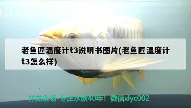老魚匠溫度計t3說明書圖片(老魚匠溫度計t3怎么樣) 老魚匠溫度計t3說明書圖片(老魚匠溫度計t3怎么樣) 老魚匠