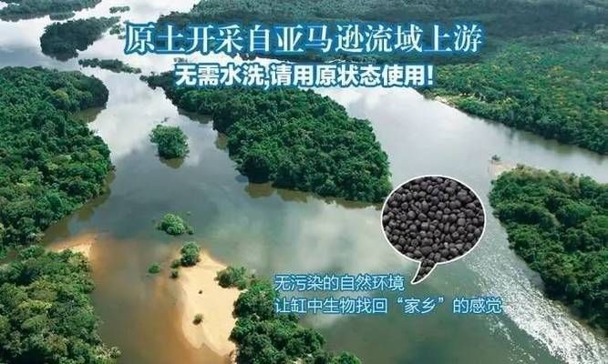 80的魚缸養多少條七彩合適：80厘米的魚缸適合養幾條七彩神仙魚