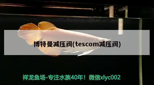 博特曼減壓閥(tescom減壓閥) 博特曼減壓閥(tescom減壓閥) 博特水族