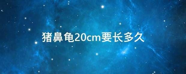 豬鼻龜幾年能長到30公分：豬鼻龜多久可以長到20公分