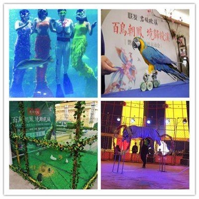 濟寧水族館vs祥龍魚場（探討濟寧水族館與祥龍魚場之間的差異之前需要明確兩者的基本信息）