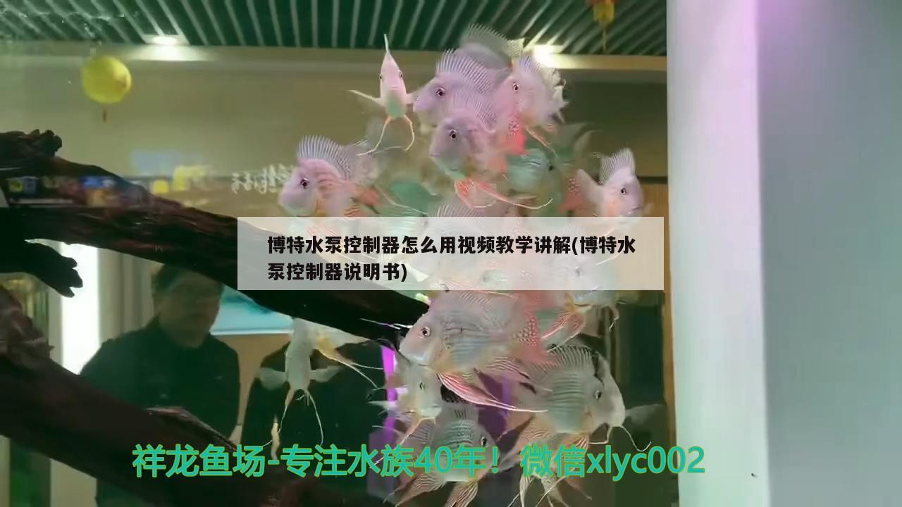 博特水泵控制器怎么用視頻教學(xué)講解(博特水泵控制器說明書)