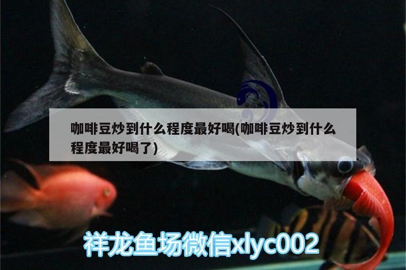 咖啡豆炒到什么程度最好喝(咖啡豆炒到什么程度最好喝了) 咖啡豆炒到什么程度最好喝(咖啡豆炒到什么程度最好喝了) 馬來西亞咖啡