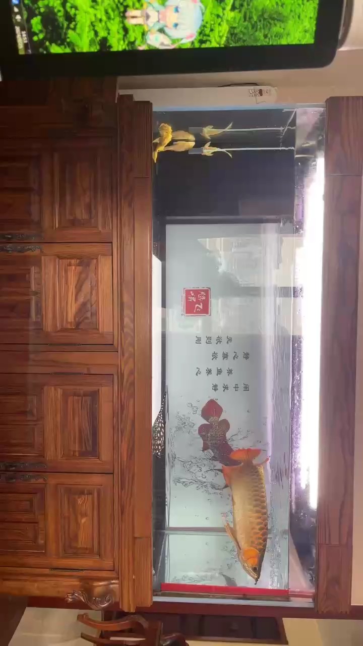 天涼了 準(zhǔn)備上色了