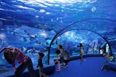達州水族館vs祥龍魚場（探討達州水族館與祥龍魚場之前需要明確兩者的主要區別）