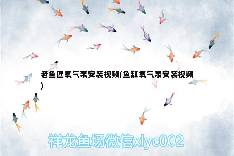 老魚匠氧氣泵安裝視頻(魚缸氧氣泵安裝視頻)