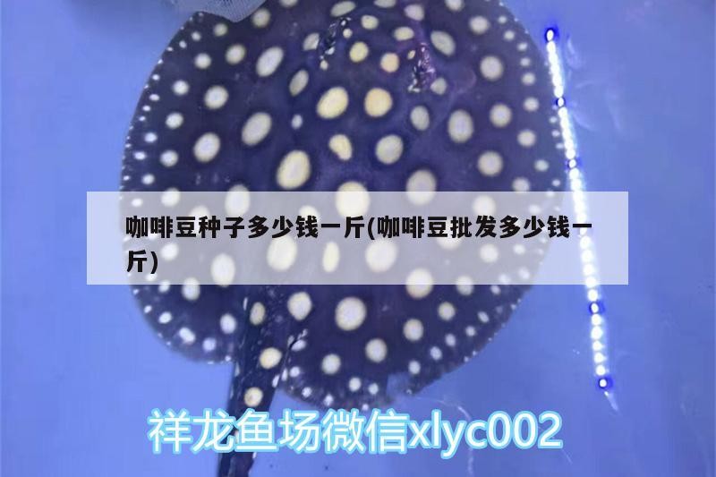 我的虎魚真菌感染了要怎么處理 咖啡豆種子多少錢一斤(咖啡豆批發多少錢一斤) 馬來西亞咖啡 咖啡豆種子多少錢一斤(咖啡豆批發多少錢一斤) 咖啡豆種子多少錢一斤(咖啡豆批發多少錢一斤) 馬來西亞咖啡