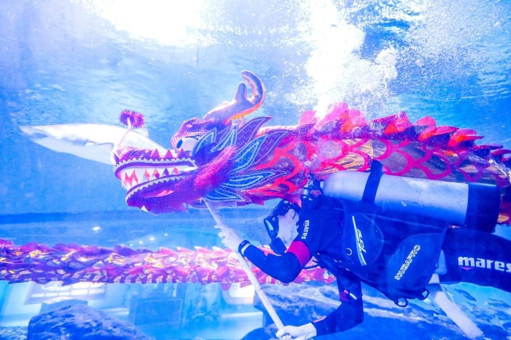 塔城水族館vs祥龍魚場（塔城水族館和祥龍魚場哪個好）