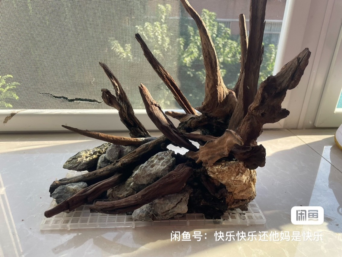 終于決定退坑了