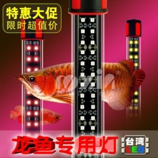 濮陽龍魚vs祥龍魚場(chǎng)（濮陽龍魚批發(fā)市場(chǎng)與祥龍魚場(chǎng)有什么區(qū)別？）