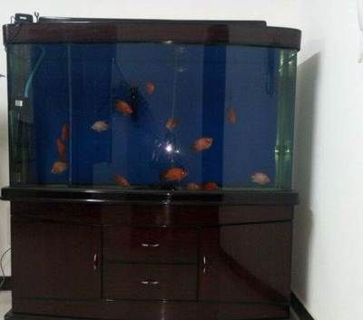 4條魚放三個魚缸有幾種方法呢：一年級上冊數學期末復習重點提升連加、連減及加減及加減混合知識點