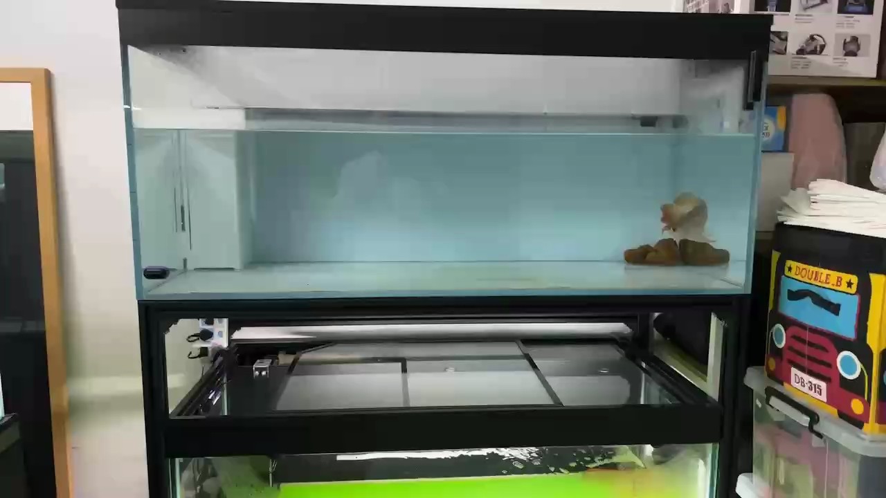第二天的表現比較平和 希望它早點康復！