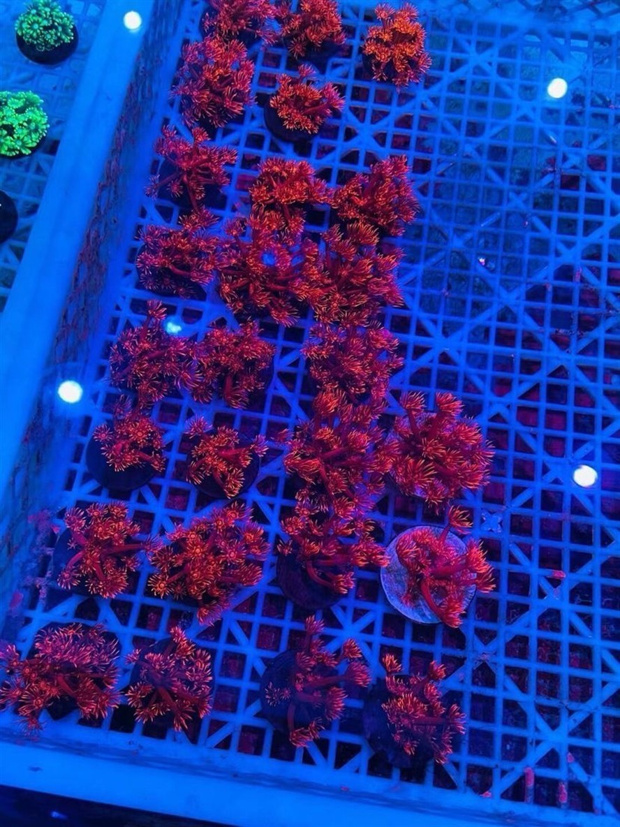 長(zhǎng)治市城區(qū)家輝魚(yú)具店