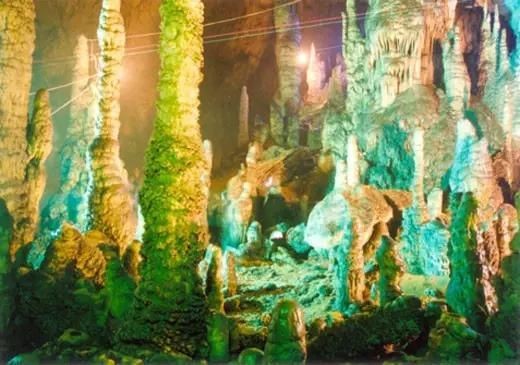 漢中水族館vs祥龍魚場（漢中水族館與祥龍魚場各有其特色和優勢）