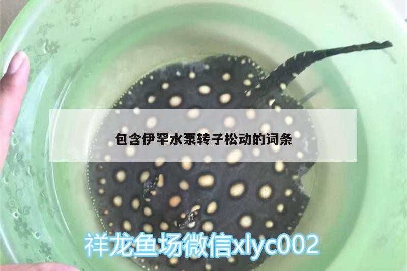 包含伊罕水泵轉子松動的詞條