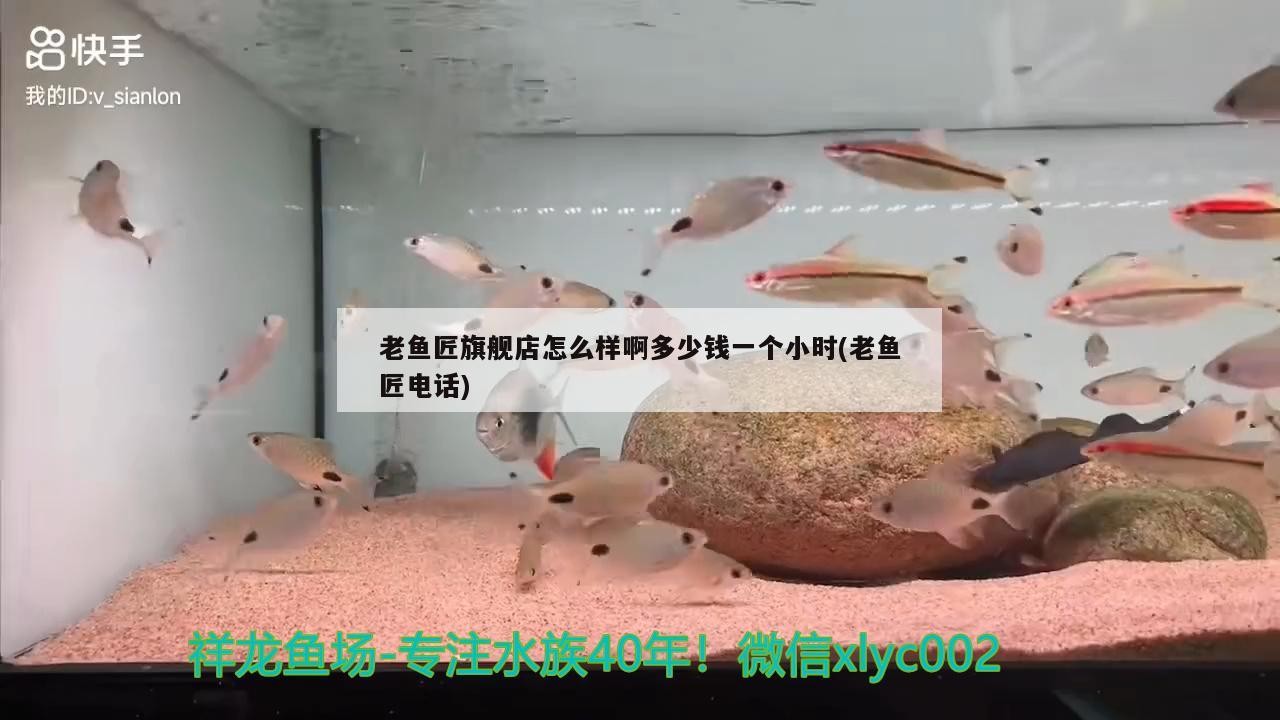 老魚匠旗艦店怎么樣啊多少錢一個小時(老魚匠電話)