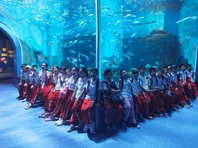 九江水族館vs祥龍魚場（九江水族館與祥龍魚場之前，我們需要明確兩者的主要業務和特點）